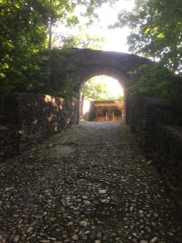 PHOTO-2019-06-18-19-04-07-1